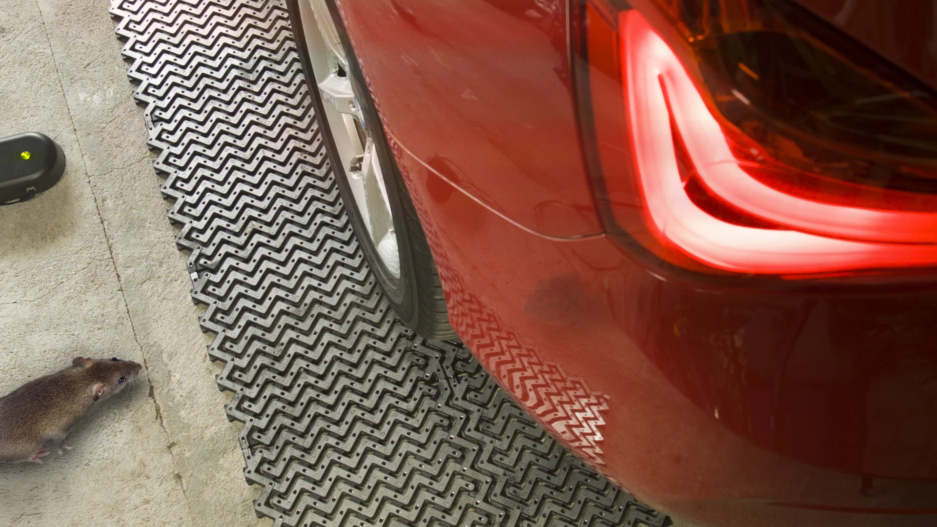 Best rodent repellent for cars deals